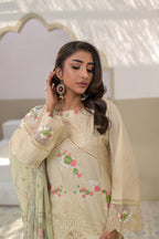 Noor-e-Naqsh DN:SA-02