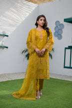 Noor-e-Naqsh DN:SA-07-Y