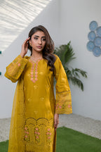 Noor-e-Naqsh DN:SA-07-Y