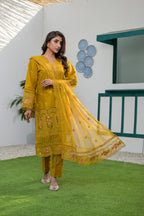 Noor-e-Naqsh DN:SA-07-Y