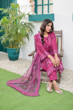 Noor-e-Naqsh DN:SA-06